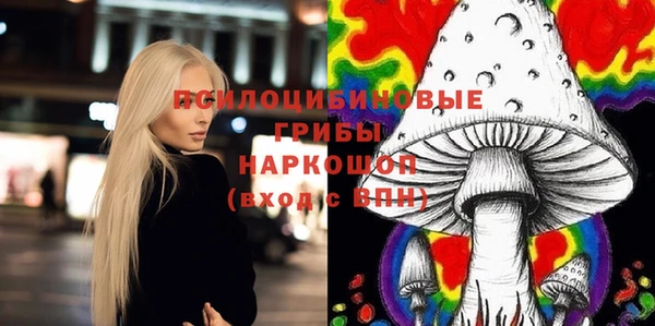мяу мяу мука Магас
